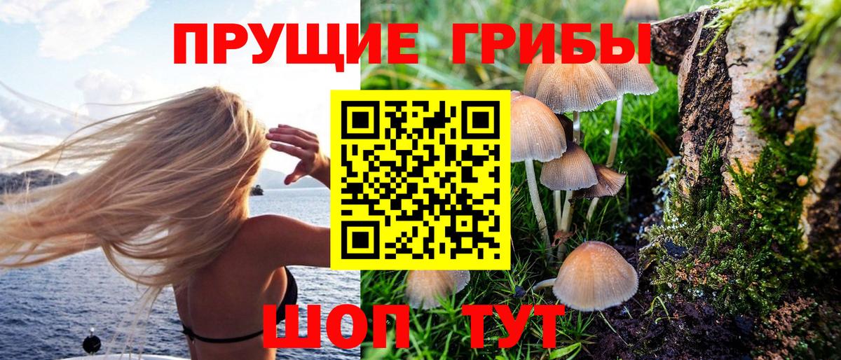 Псилоцибиновые грибы MAGIC MUSHROOMS Россия