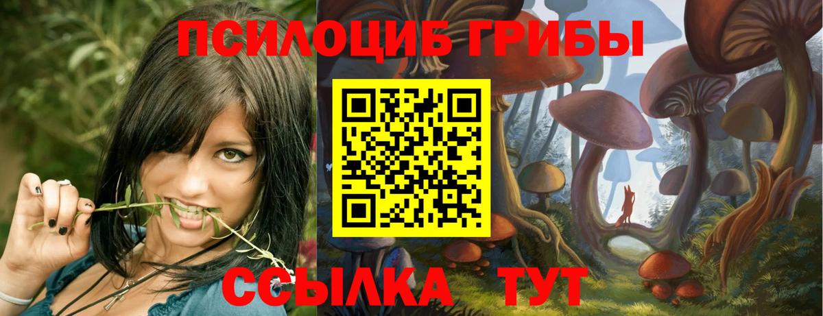 Псилоцибиновые грибы Psilocybe  Галлюциногенные грибы GOLDEN TEACHER  Россия  Вход с VPN 